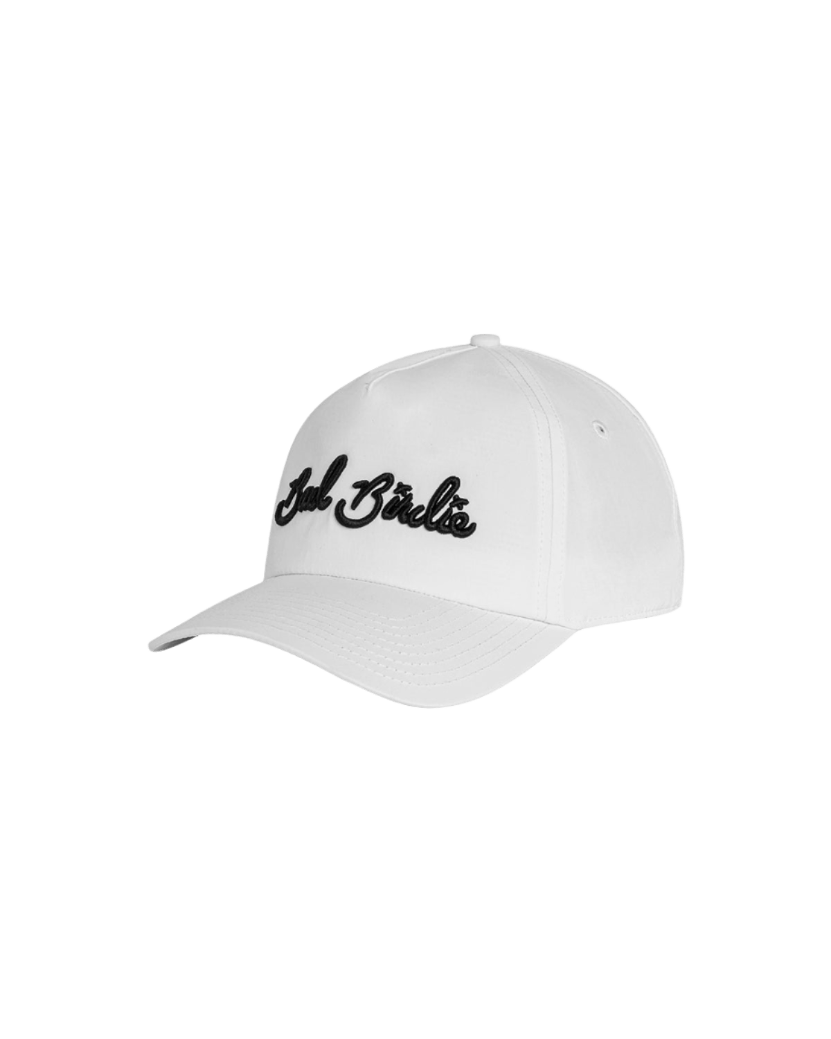 Bad Birdie Headwear Adjustable / White Bad Birdie - Script Hat