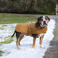 Carhartt Accessories Carhartt - Dog Chore Coat