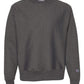 Champion Sweatshirts S / Charcoal Heather Champion - Reverse Weave® Crewneck Sweatshirt
