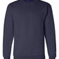 Champion Sweatshirts S / Navy Champion - Double Dry Eco® Crewneck Sweatshirt