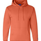 Champion Sweatshirts S / Orange Champion - Double Dry Eco Hooded Sweatshirt