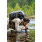 LifeStraw - Stainless Single Sip