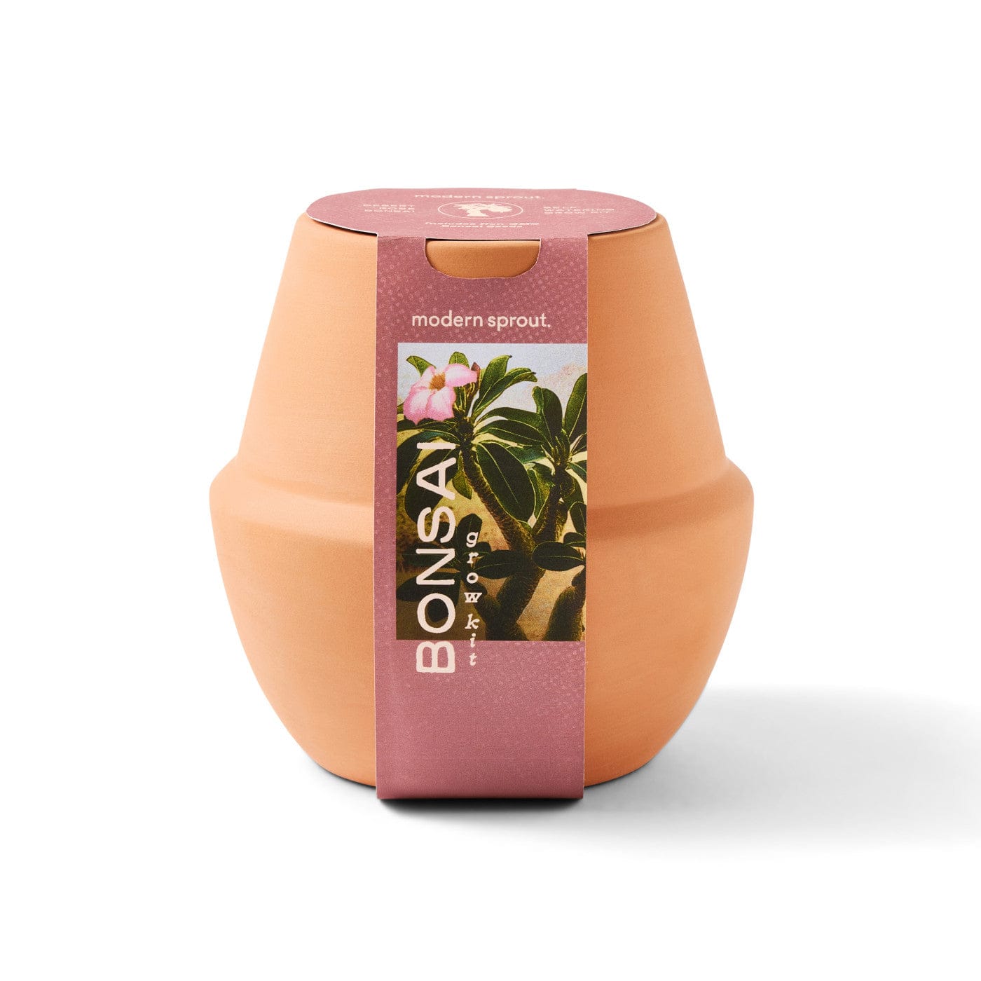 Modern Sprout Outdoor & Leisure Modern Sprout - Modern Terracotta Grow Kit