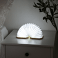 Origaudio Accessories One Size / Bamboo Origaudio - Accordio Light