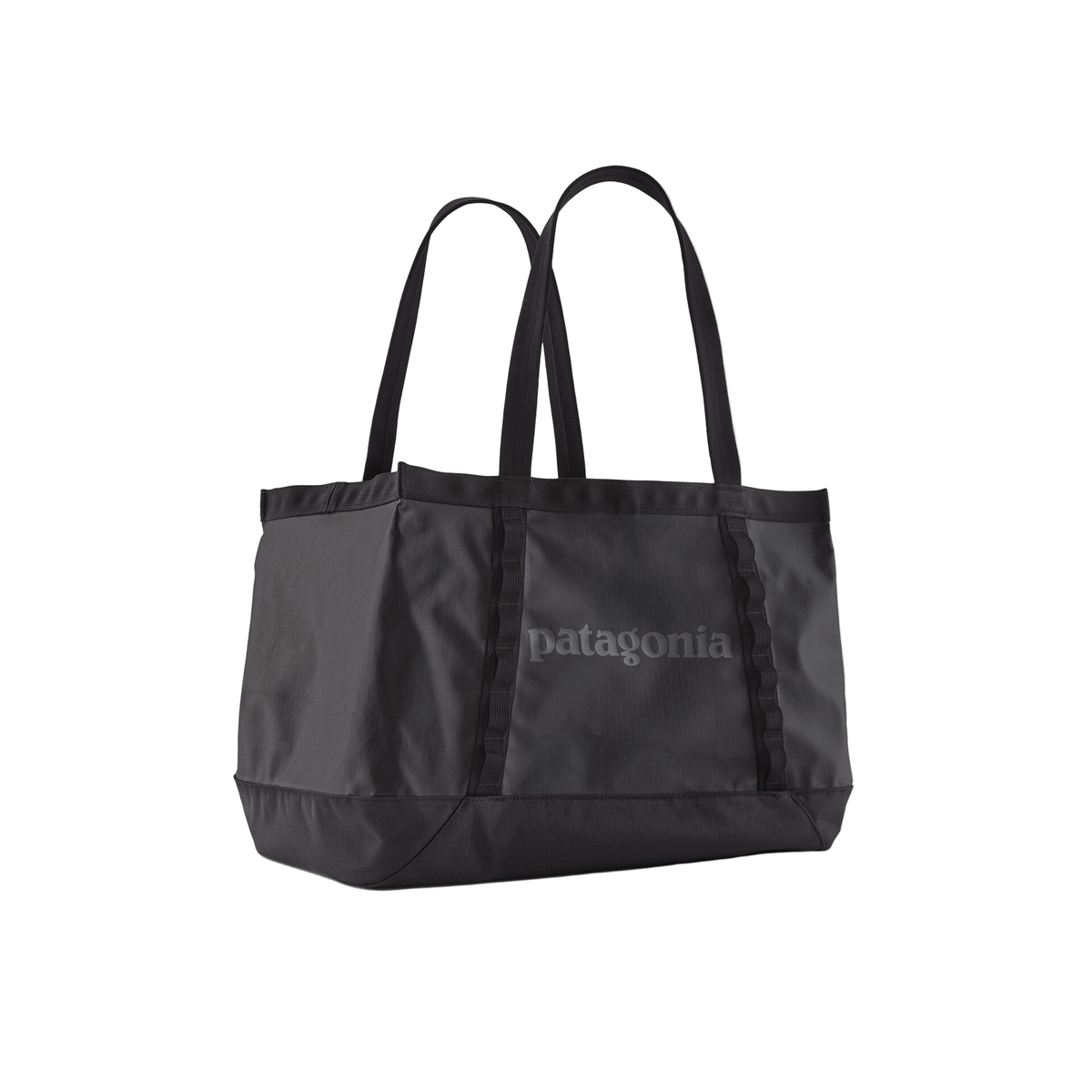 Patagonia - Black Hole® Tote 25L