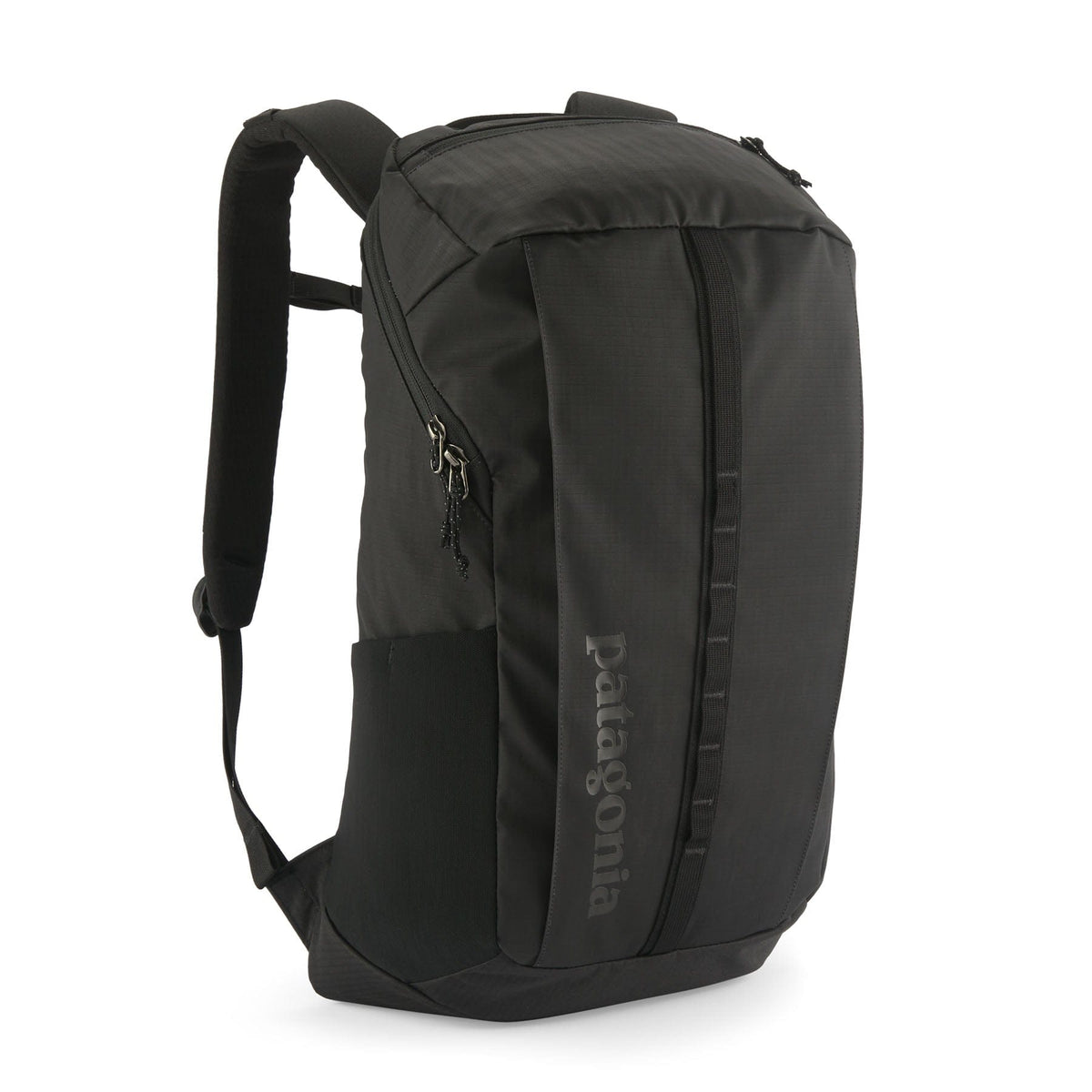 Patagonia Bags One Size / Black Patagonia - Black Hole® Pack 25L