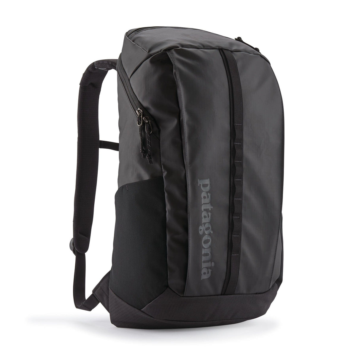 Patagonia Bags One Size / Black w/Black Patagonia - Black Hole® Pack 25L