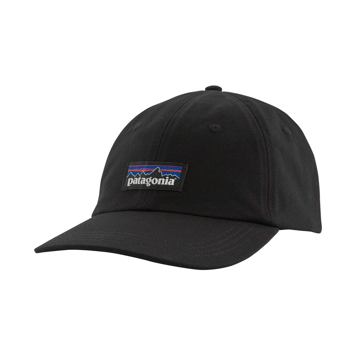 Patagonia - P-6 Label Traditional Cap