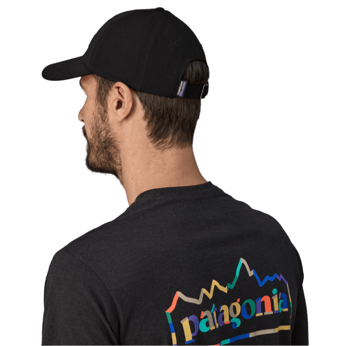 Patagonia - P-6 Label Traditional Cap