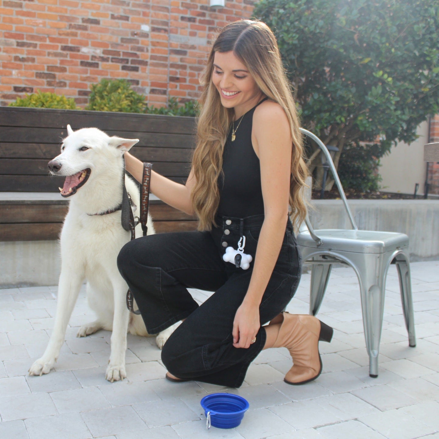 Threadfellows Accessories Collapsible Pet Bowl