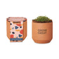 Threadfellows Accessories Terracotta / Champagne Poppies Modern Sprout® Tiny Terracotta Grow Kit