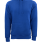 Threadfellows Curated Collection Sweatshirts S / Royal Ultra Soft Fleece Hoodie